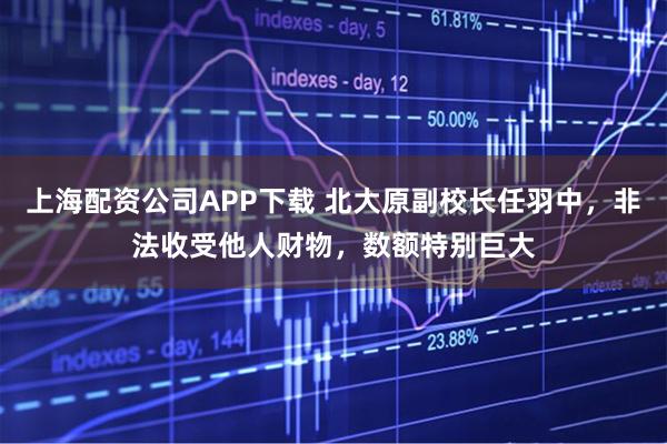 上海配资公司APP下载 北大原副校长任羽中，非法收受他人财物，数额特别巨大