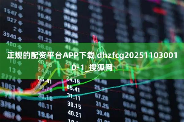 正规的配资平台APP下载 dhzfcg202511030010-1_搜狐网