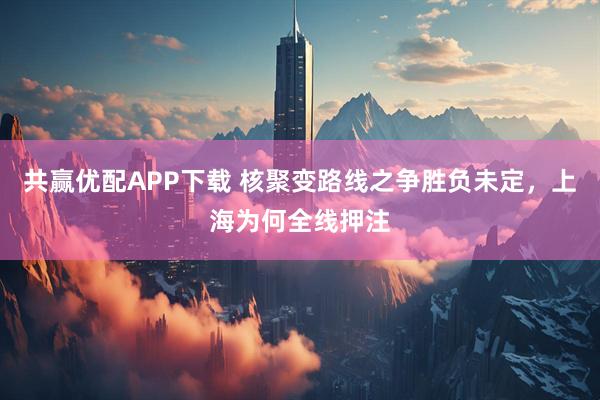 共赢优配APP下载 核聚变路线之争胜负未定，上海为何全线押注